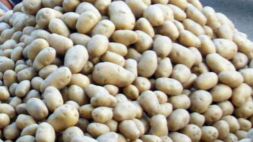 নেপালে গেল ১০৫ মেট্রিক টন আলু