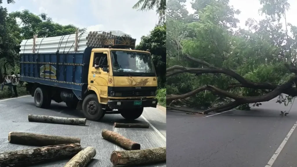 আসলাম চৌধুরীর প্রার্থিতা বাতিলের খবরে গাছ ফেলে মহাসড়ক অবরোধ