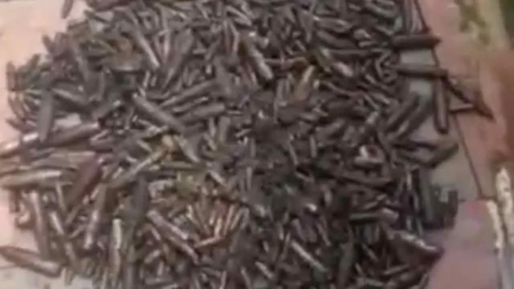 বায়েজিদে নালায় মিললো বিপুল সংখ্যক ‘বুলেট’